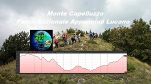 42335365_1631942310273297_269125171913162752_n