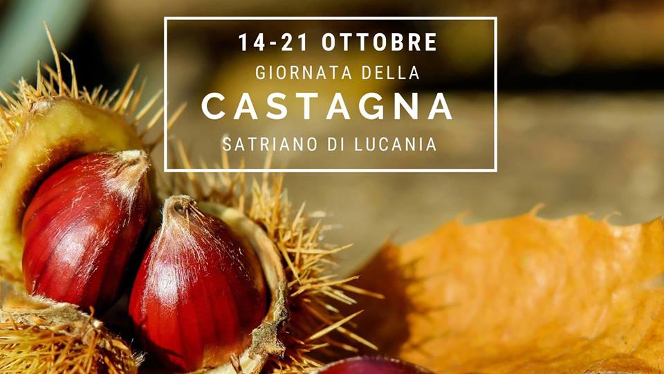 41752314_2021954114492955_2165612142315700224_n