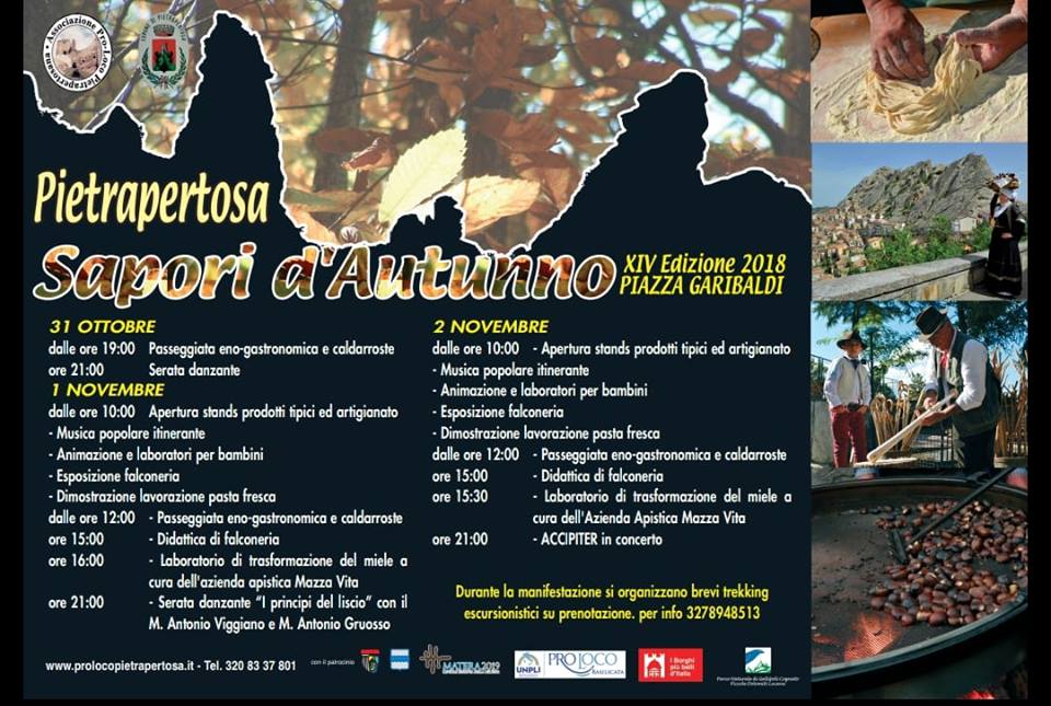 43636892_1350909698373177_7986232352491700224_n